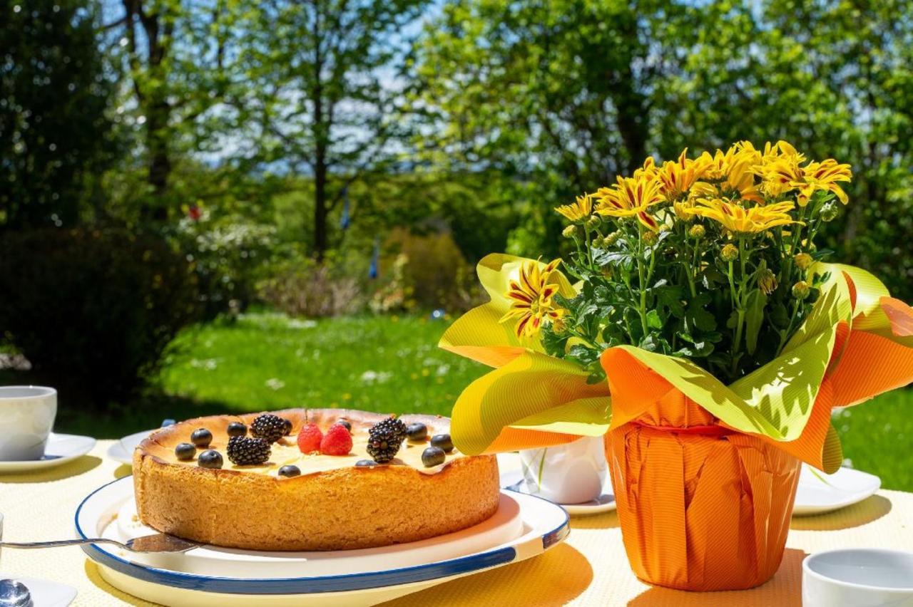 Ferienwohnungen Bauer - Auszeit Mit Ausblick Zenting Extérieur photo