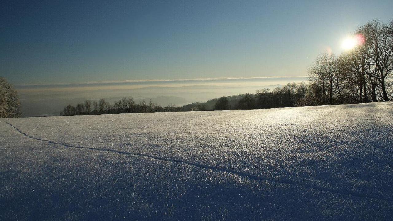 Ferienwohnungen Bauer - Auszeit Mit Ausblick Zenting Extérieur photo