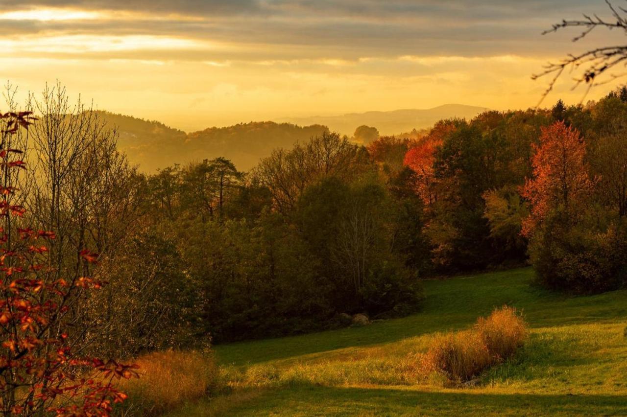 Ferienwohnungen Bauer - Auszeit Mit Ausblick Zenting Extérieur photo
