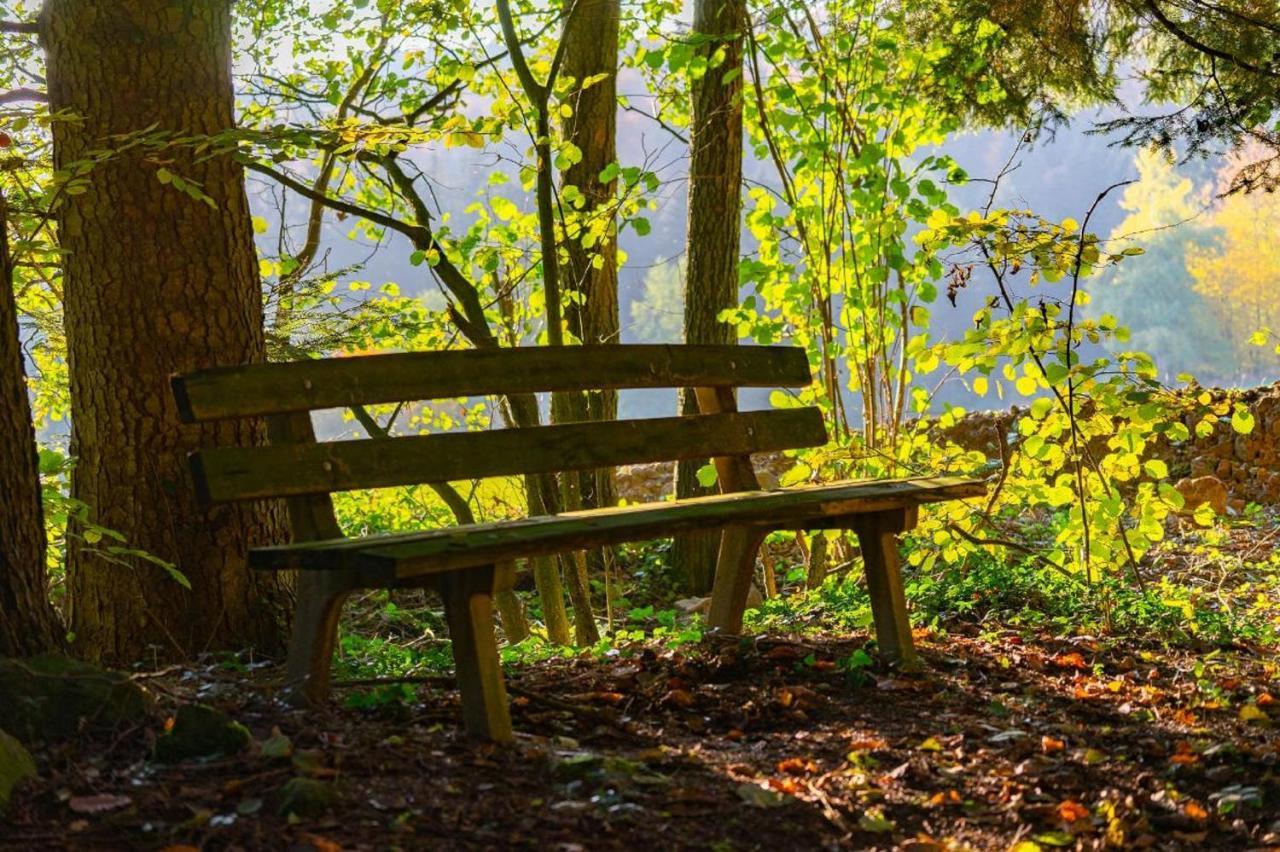Ferienwohnungen Bauer - Auszeit Mit Ausblick Zenting Extérieur photo