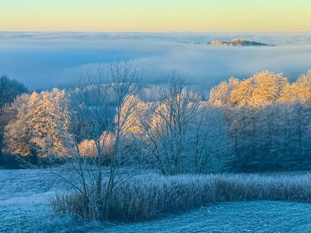 Ferienwohnungen Bauer - Auszeit Mit Ausblick Zenting Extérieur photo